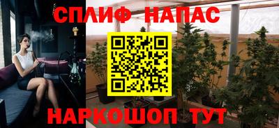 гидра Изобильный