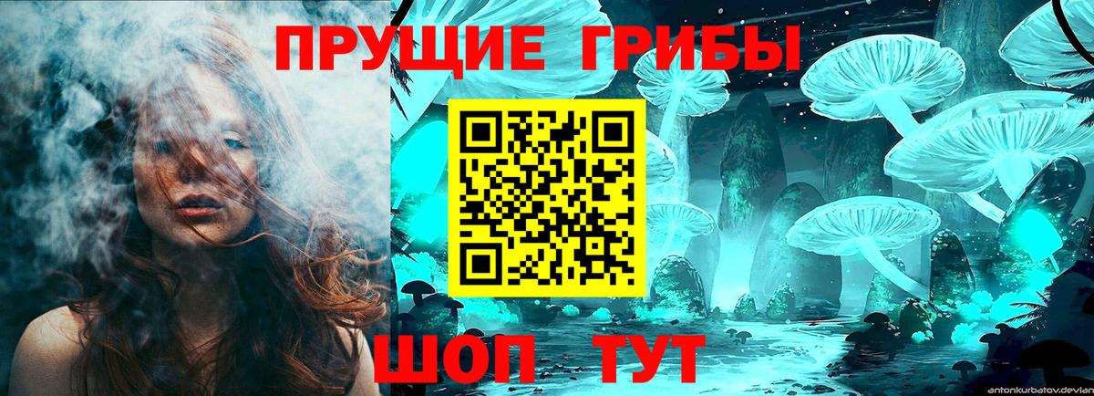 Галлюциногенные грибы Psilocybe  Вход с VPN  Междуреченск 